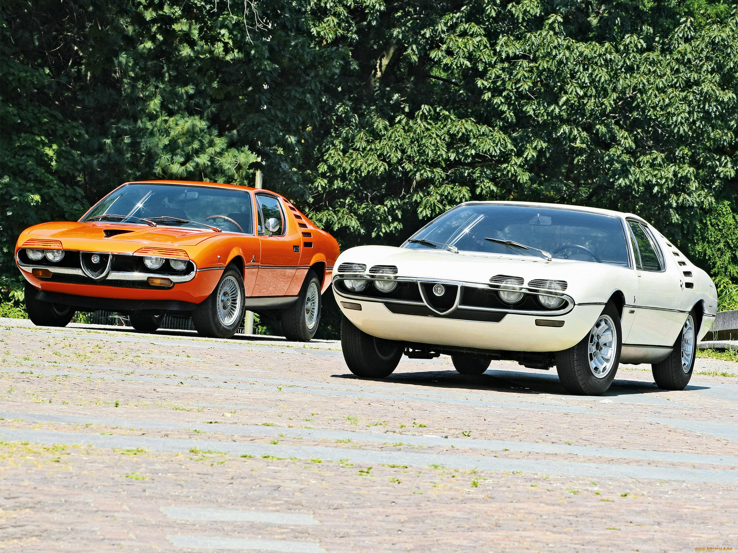 , alfa romeo, alfa
